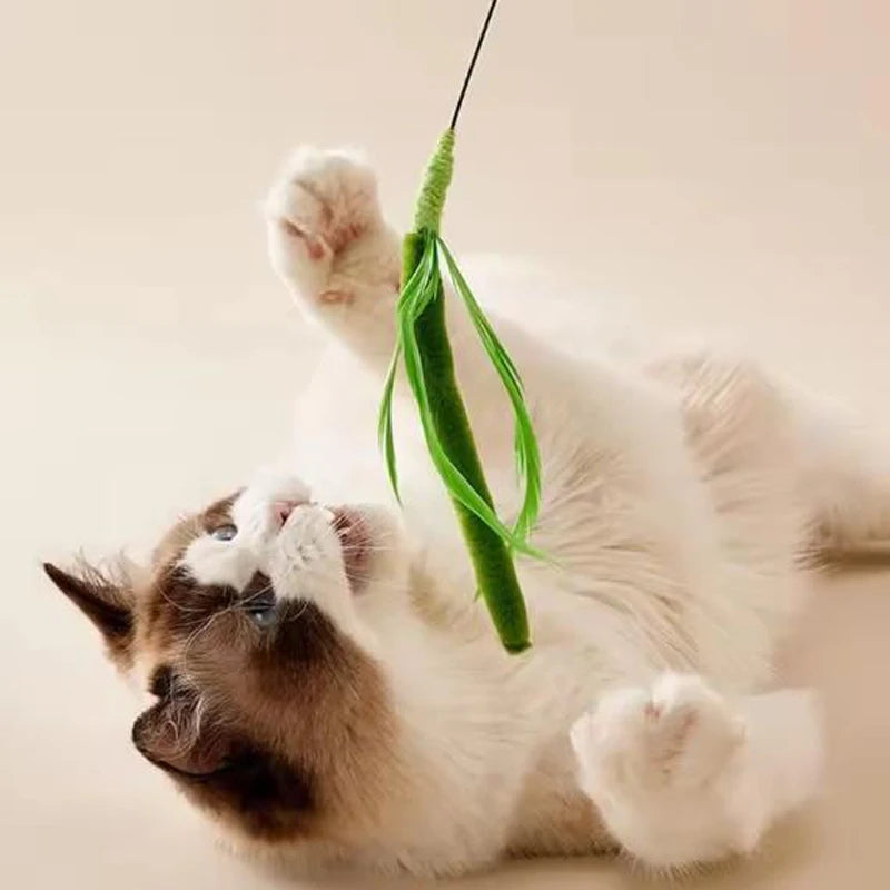 Cannes interactives pour chats