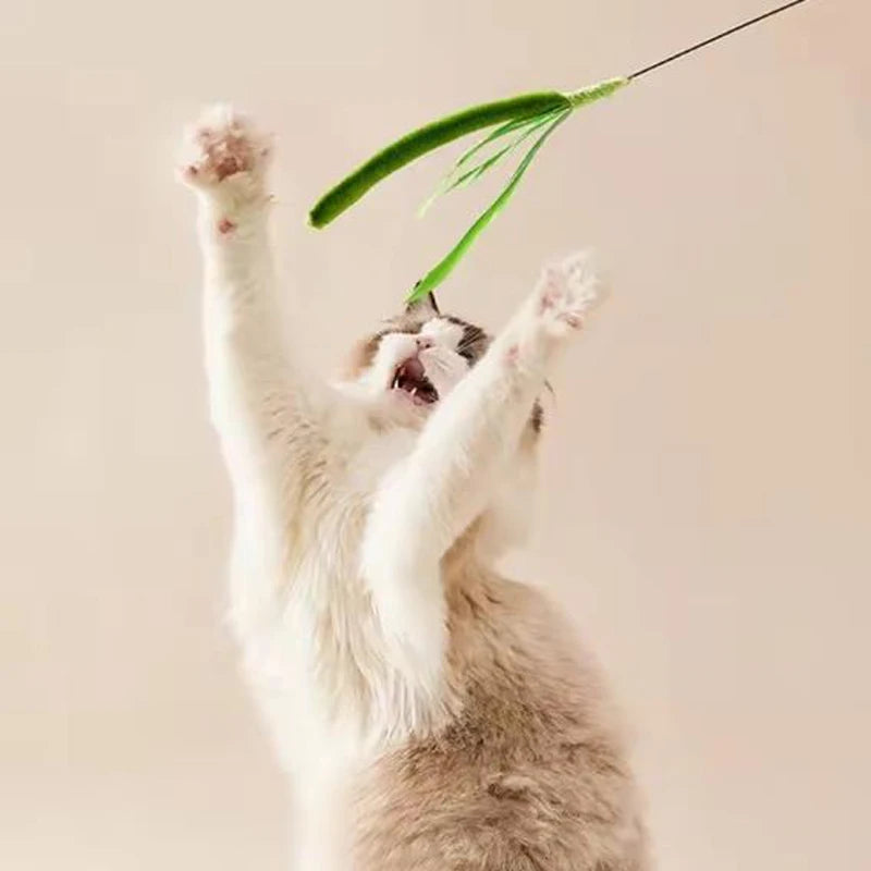 Cannes interactives pour chats