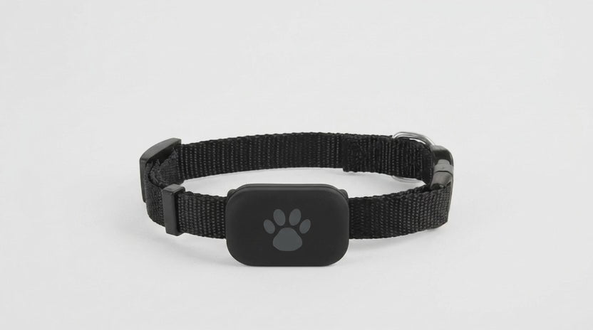 Buddy Tracker GPS — vista em vídeo